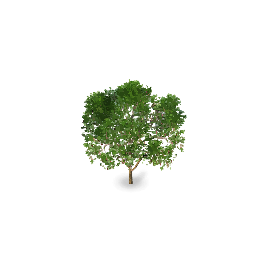 Already work with us? Tree